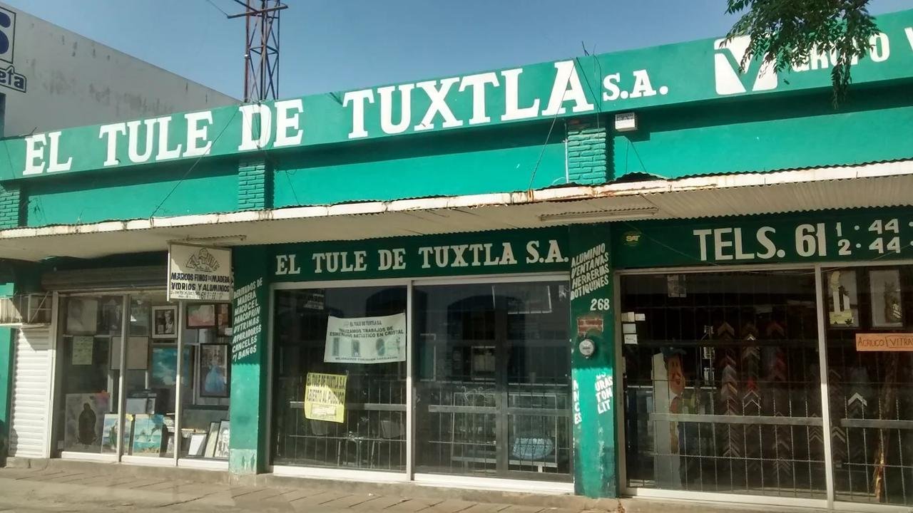 El Tule de Tuxtla